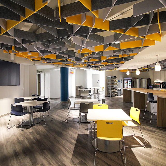 Módulos de techo acústico irregular